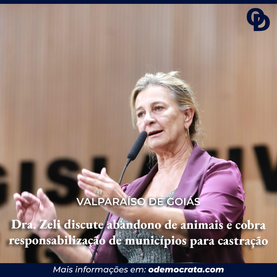 Dra Zeli discute abandono de animais e cobra responsabilização de