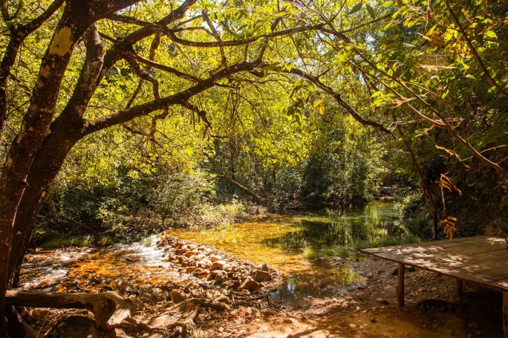 Cachoeira na Chapada dos Veadeiros terá área para nudismo. Saiba qual - destaque galeria