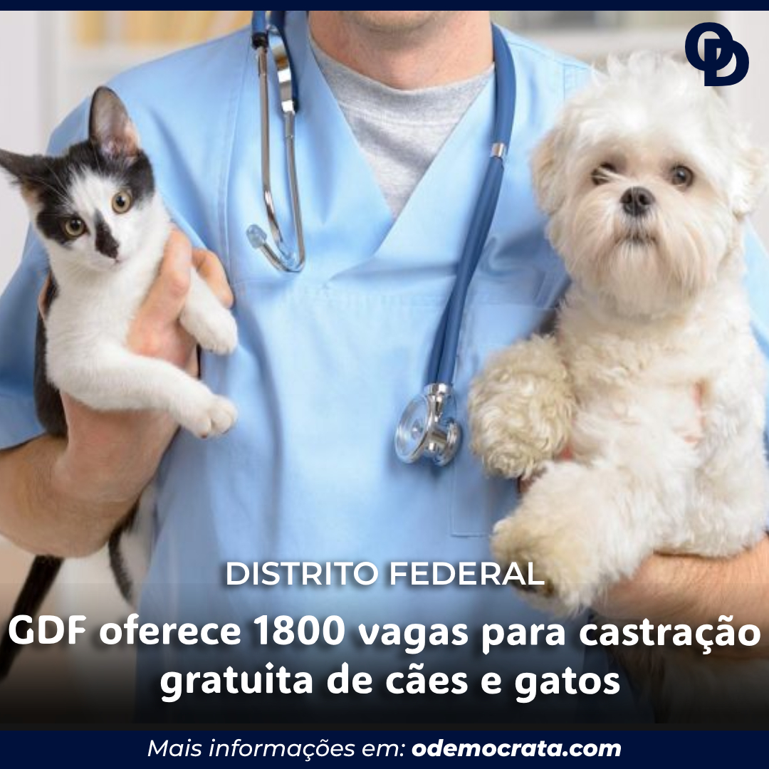 GDF oferece 1800 vagas para castração gratuita de cães e gatos